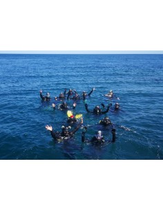Team Building BUCEO 2