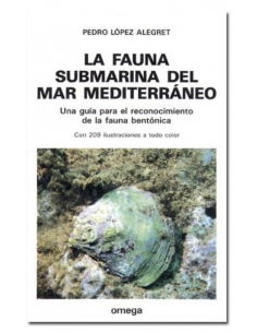 Fauna submarina del mar...